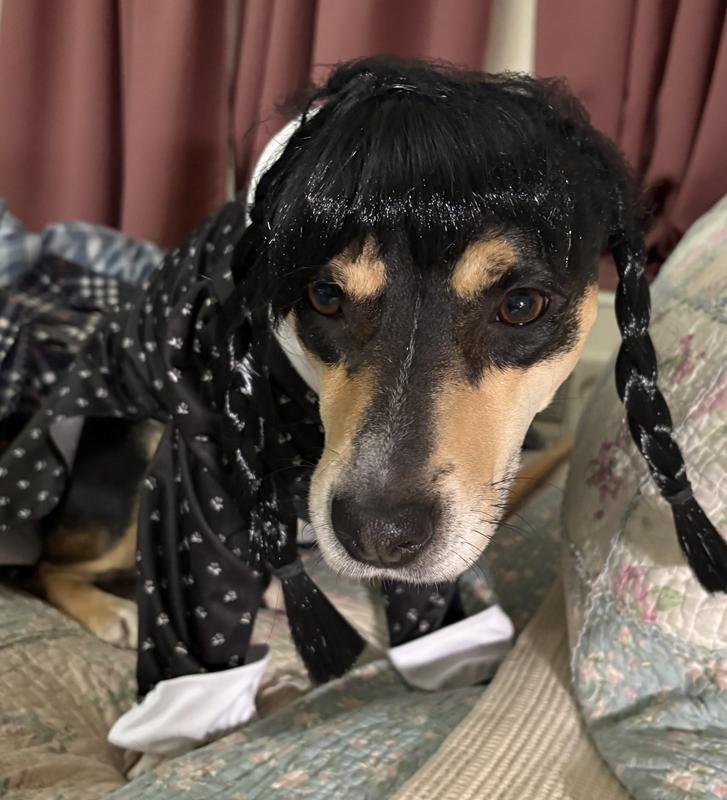 Wednesday was adorable!