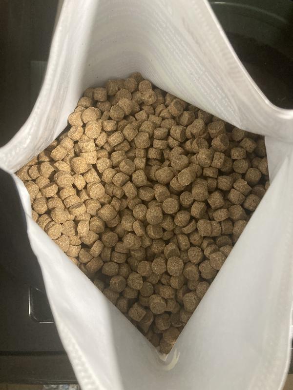 Close up of the kibbles