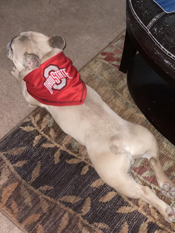 Ohio State games make me tired.