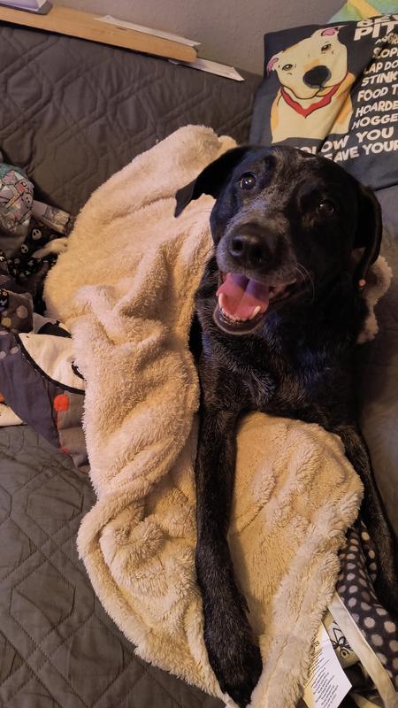 My girl ready for an afternoon nap