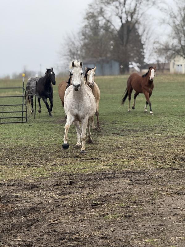 Tuff loves his B1 supplement