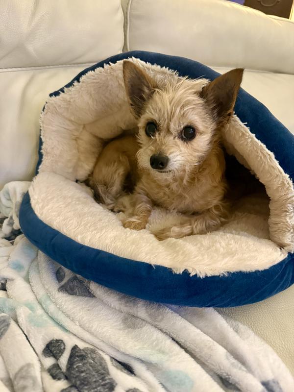 Snug as bug in a rug!