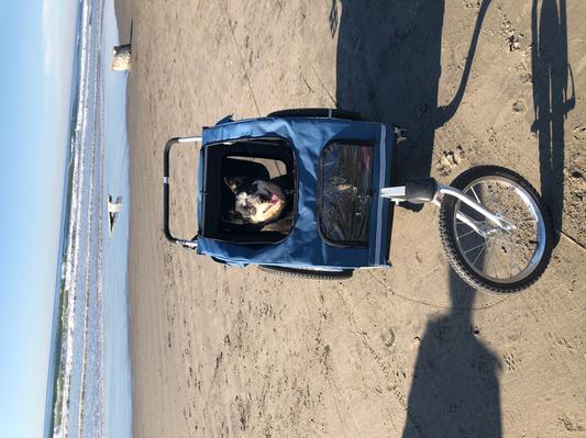 Petsafe happy ride online steel pet bicycle trailer