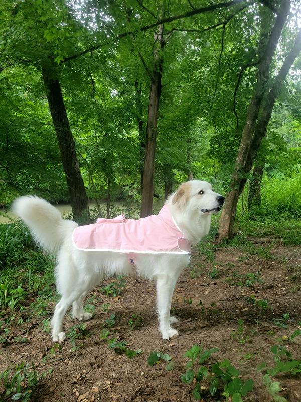 Great pyrenees raincoat hotsell