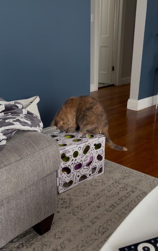 Stable enough to stand on