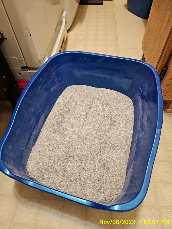 ARM & HAMMER LITTER Clump & Seal MultiCat Scented Clumping Clay Cat