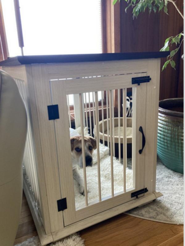 FRISCO Broadway Dog Crate End Table, Antique White