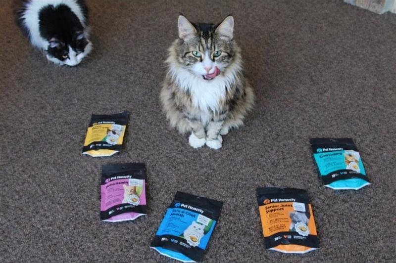 Treats for picky eaters!!