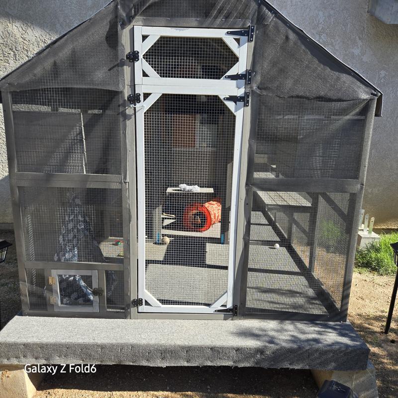 Safely out to bask in the sun