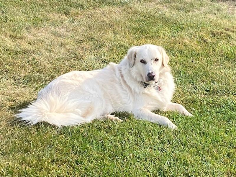 After 2 weeks on Raw Fusion