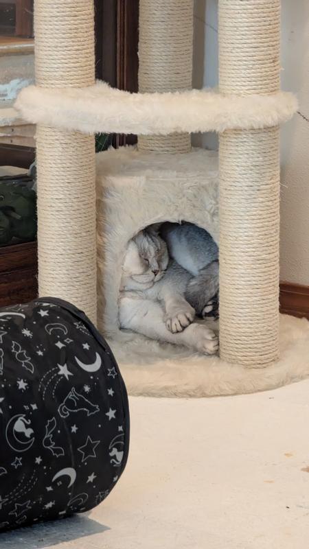 Comfort level: questionable. Commitment level: 100%