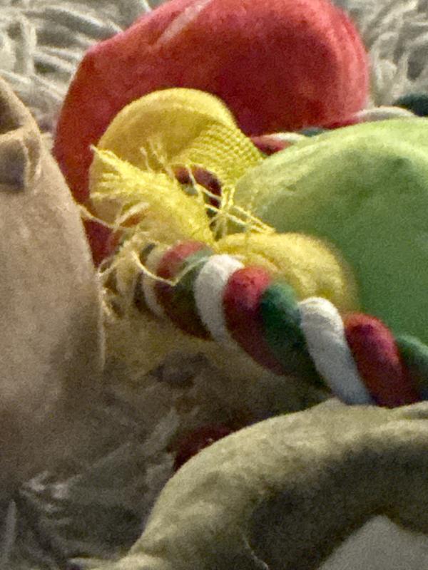 Shredded attachment of bell to rope