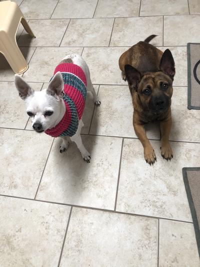 Pito in the sweater and Norman the baby