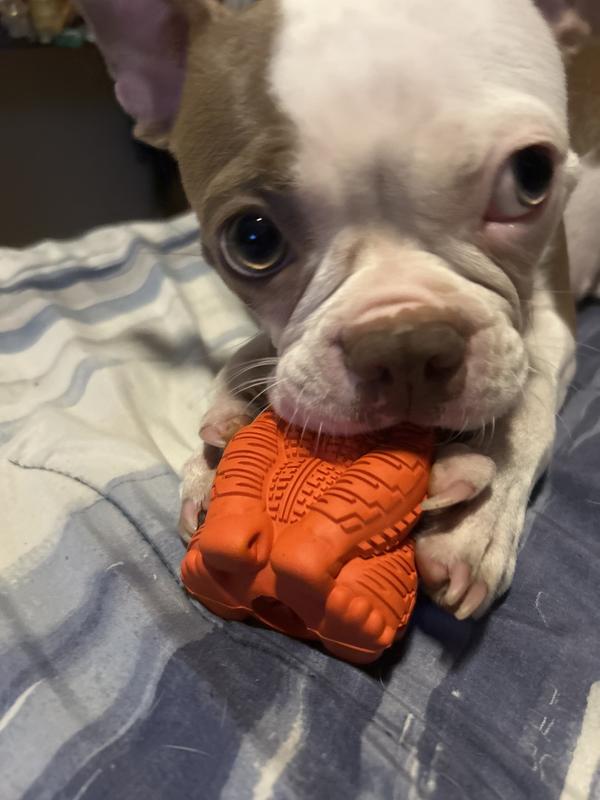 Little Myie having time of her life