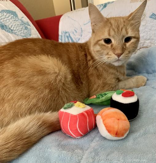 Montessori&USA 6 PCS Catnip Toy Kitty Teeth Cleaning Chewing Toy Boredom Relief Fluffy Sushi Roll Pillow Interactive Toys for Cat Lover Gifts Sushi Cat Bite Resistant Toy Cat Toys 