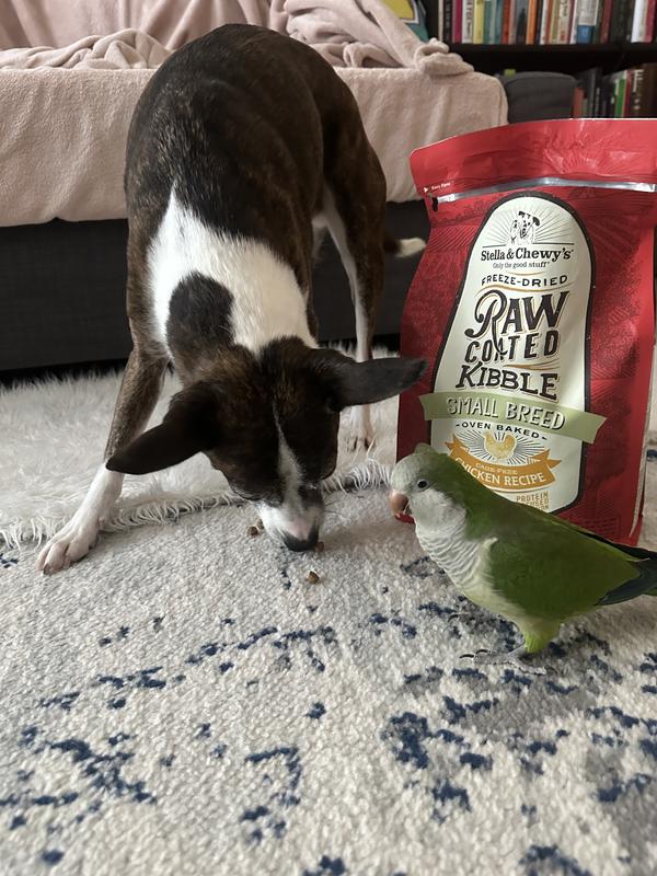 Even my parrot wanted a taste