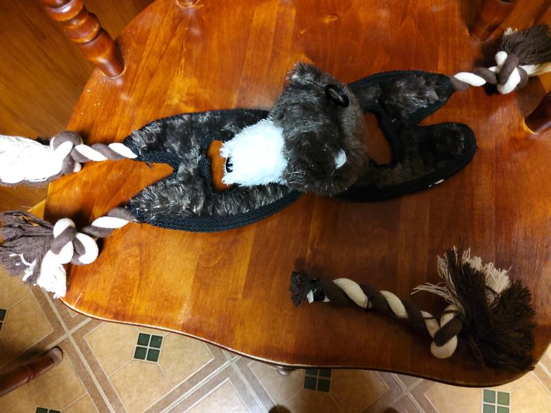 Tug toy after just a few minutes of play.
