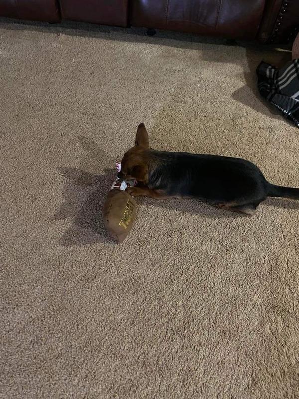 Rosie playing with her toy
