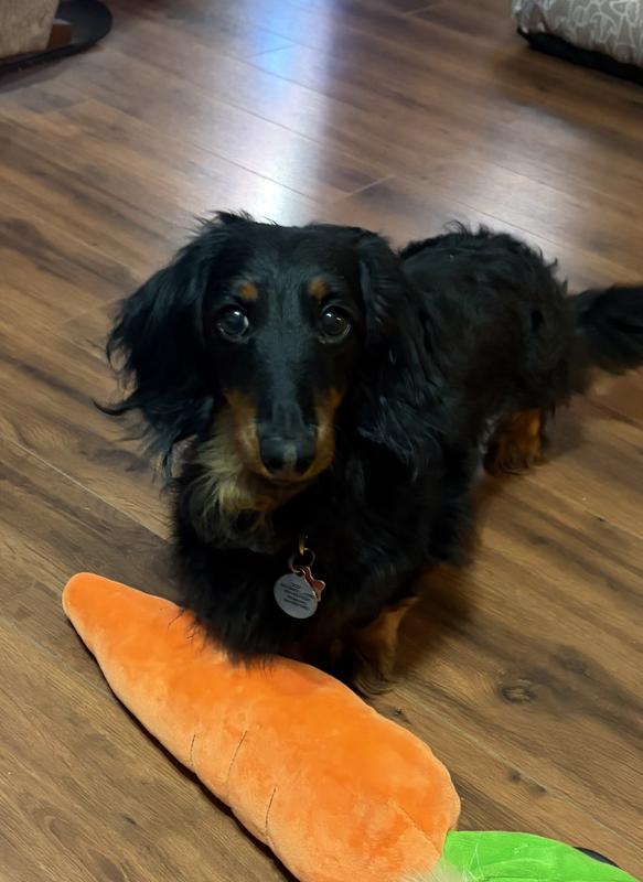 Scout with his Easter carrot