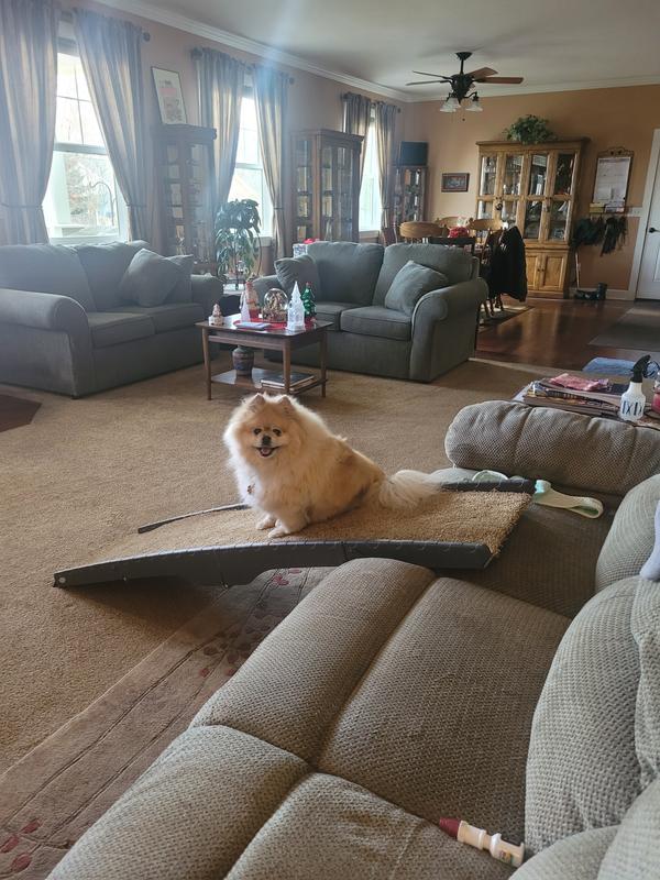 physical therapy begins.