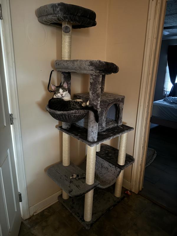 Frisco 73-in Cat Tree With Hammock, Condo, Lounge Basket, Top Perch And 