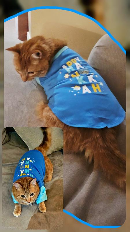 happy hanukkah, can't wait until next year!