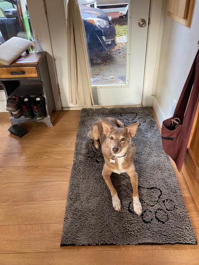 Dog Gone Smart Dirty Dog Doormat, Large 35 x 26, Brown - Alsip Home &  Nursery