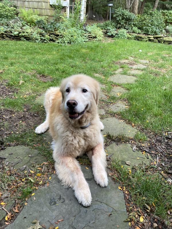 Waiting for another one!