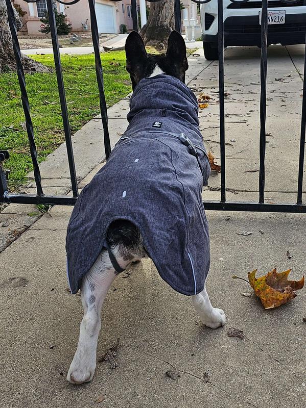 HURTTA Expedition Insulated Dog Parka, Beetroot, 26in