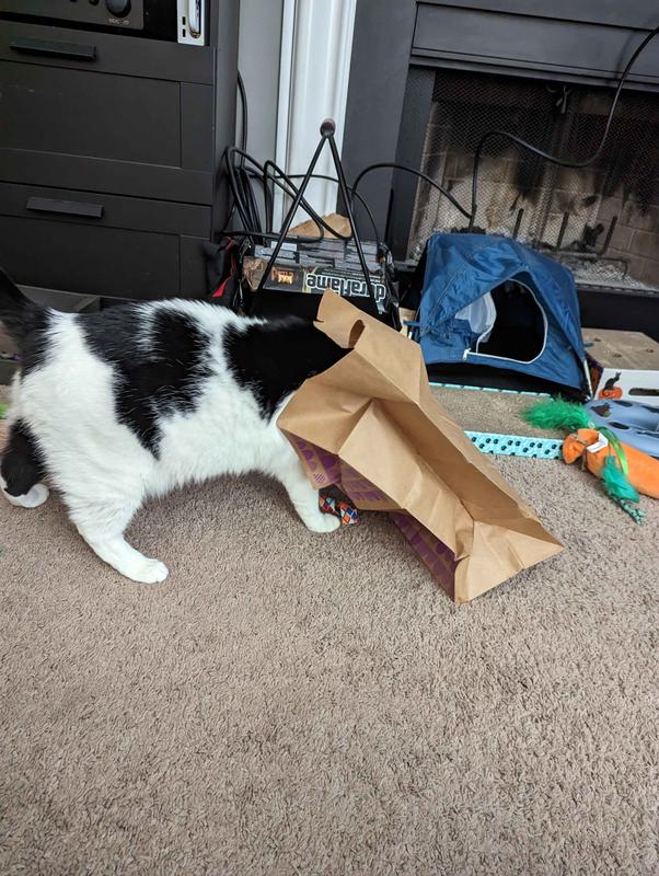 SMARTYKAT Cat Caves Catnip Infused Paper Bags, 2 count