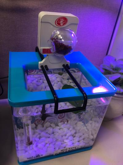 Betta fish auto feeder sale