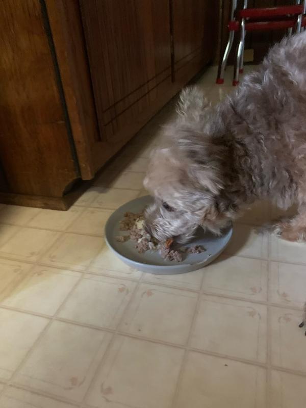 Tanner Loves Chicken Soup for the Soul!!
