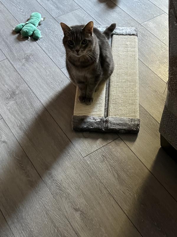 Geddy likes his new sisal wrapped board