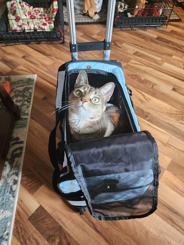 Kalliste loves it!! :)