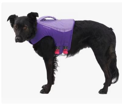 RUFFWEAR Float Coat Dog Life Jacket, Purple Lily, X-Small - Chewy.com