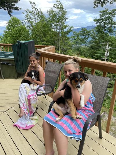 Jett and Cooper with granddaughters at cabin.