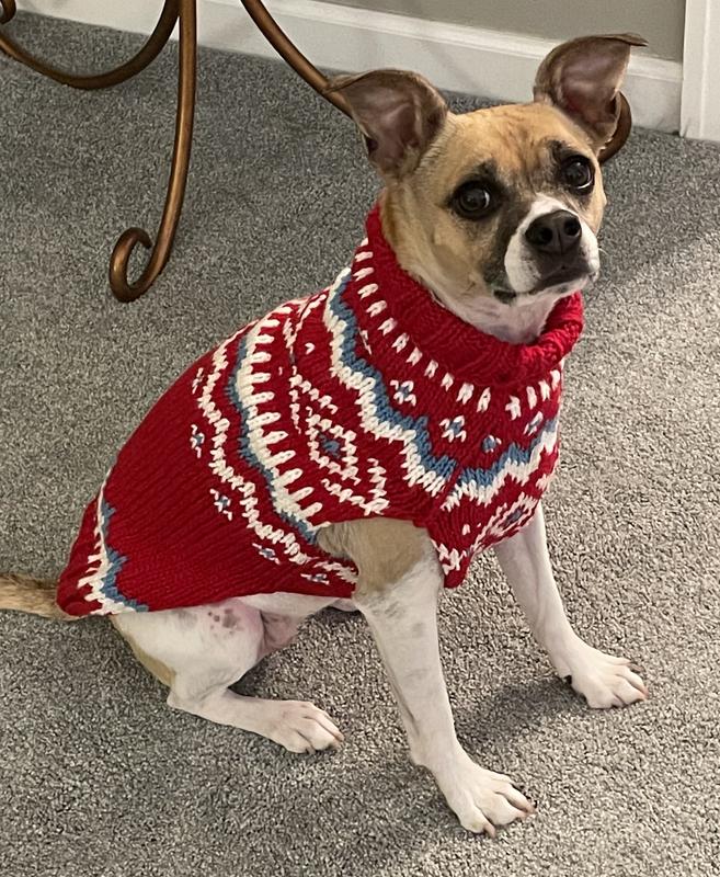 Bella loves her sweater!