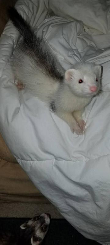 Younger years, I had her her entire life.