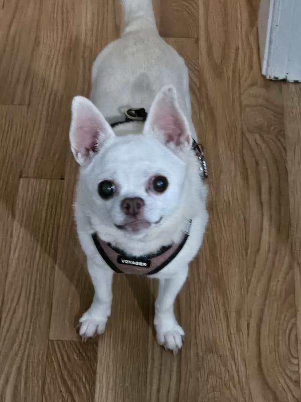 My sweet little girl