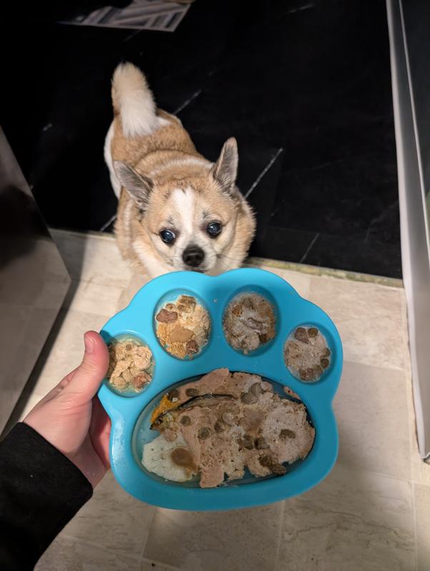 Hanks excited ☺️