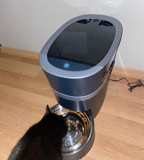 Petsafe Smart Feed Automatic Dog And Cat Feeder - Blue : Target