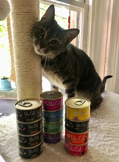 Layla loves Tiki Cat!!