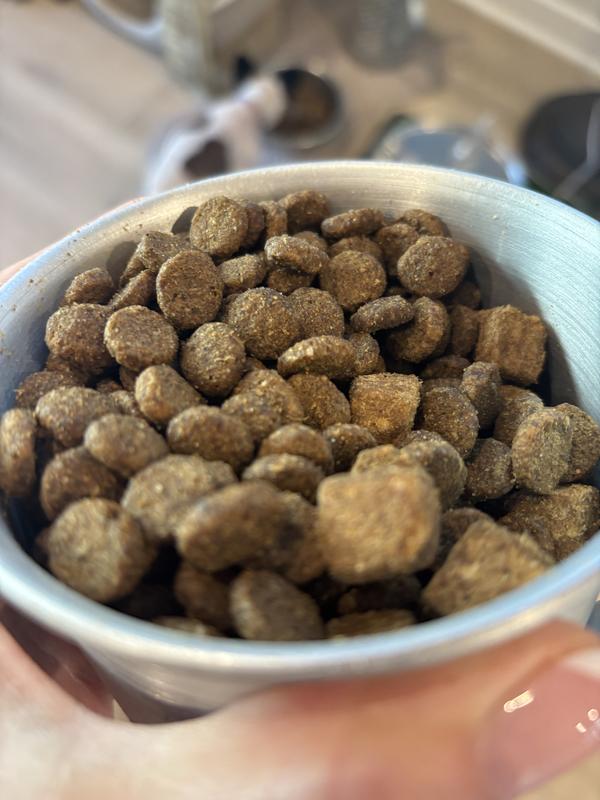 Dog food with the larger sized freeze dried treats