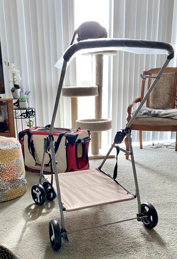 Petluv stroller outlet