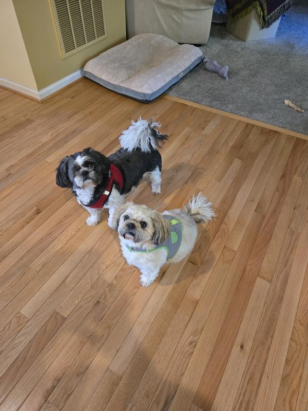 Our Alpha and "Pot Roast"