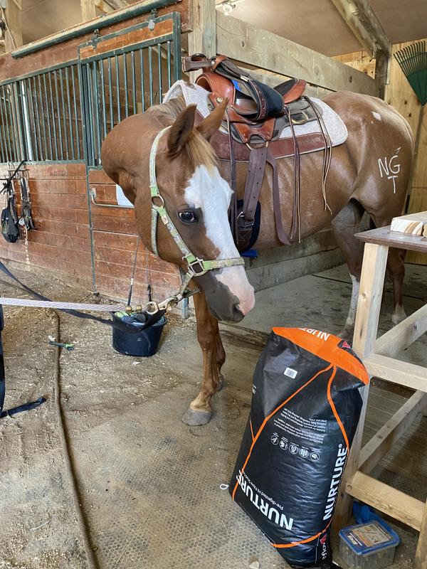 He loves this supplement!