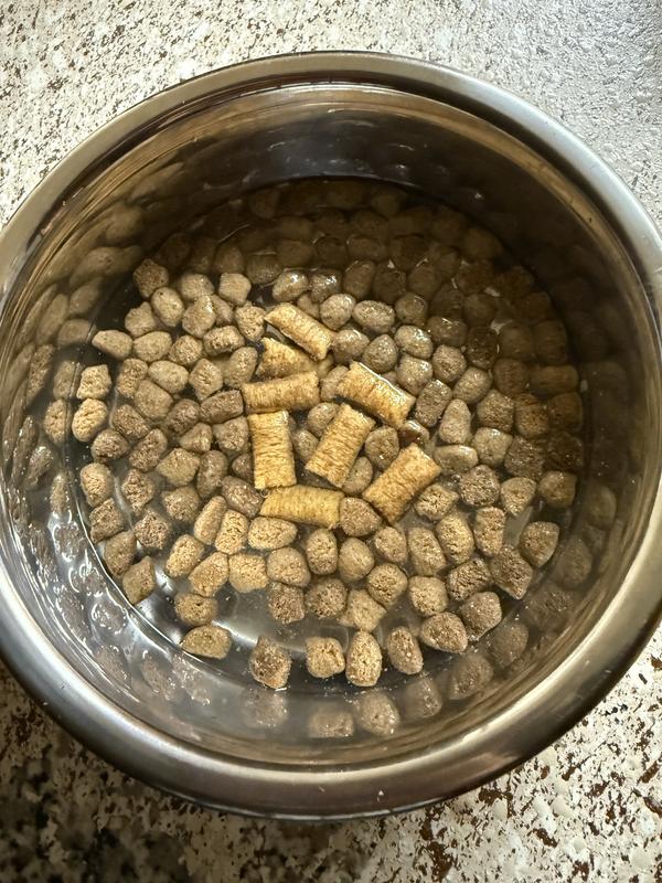 on top of dry food soaked in water