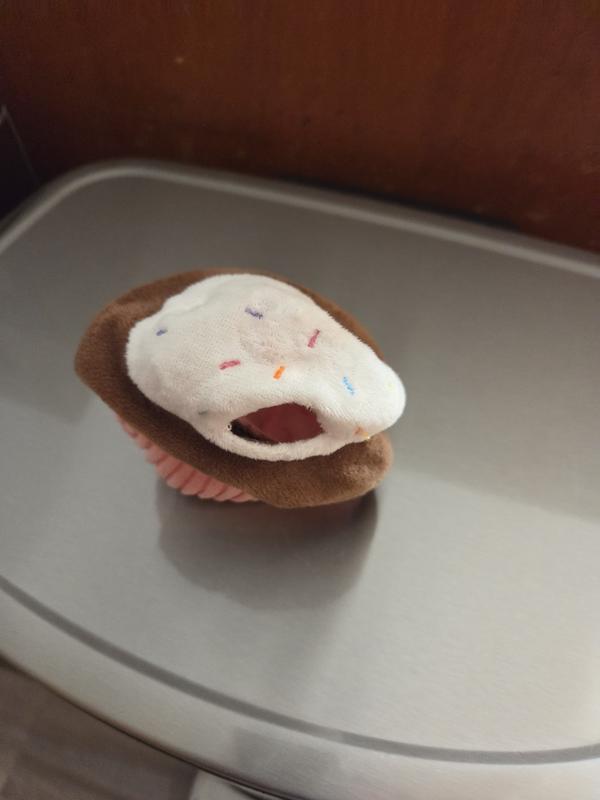 Cupcake didn't last