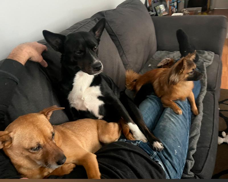 Sitting with Dad watching TV