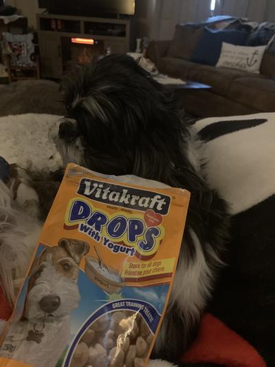 Vitakraft yogurt drops outlet for dogs